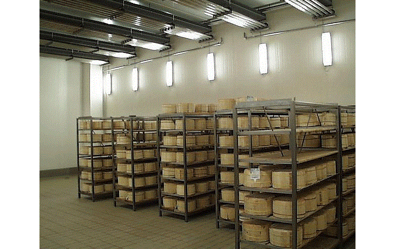Rashladne komore za dozrijevanje sireva