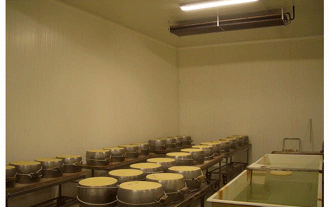 Rashladne komore za soljenje sireva