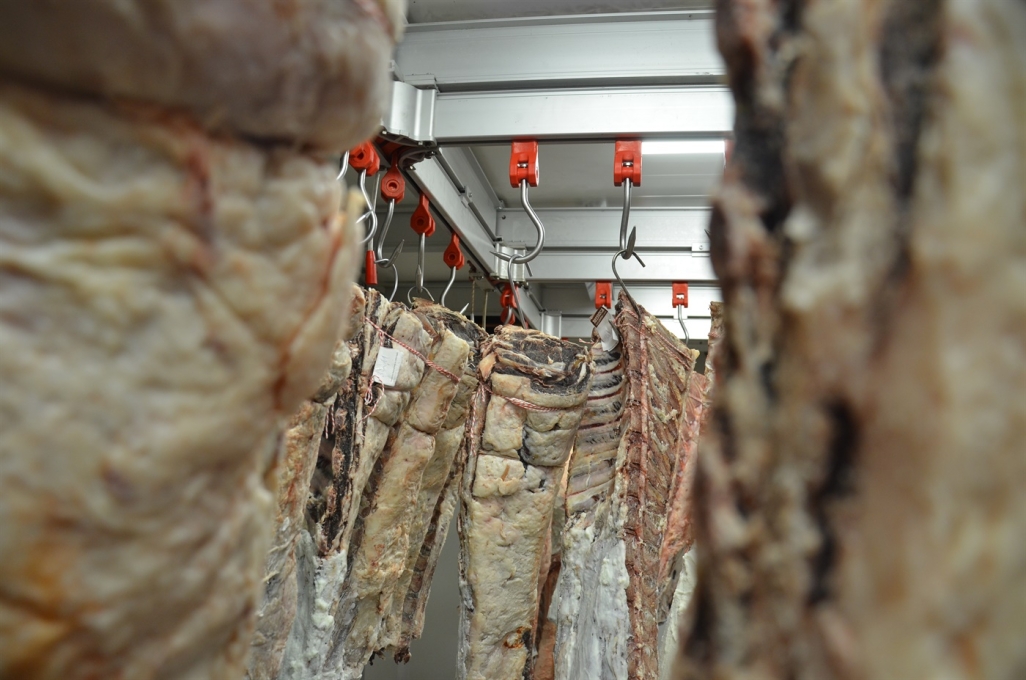 Rashladni uređaji za odležavanje mesa Dry Age Beef Konzum 11