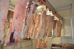 Rashladni uređaji za odležavanje mesa Dry Age Beef Konzum 13